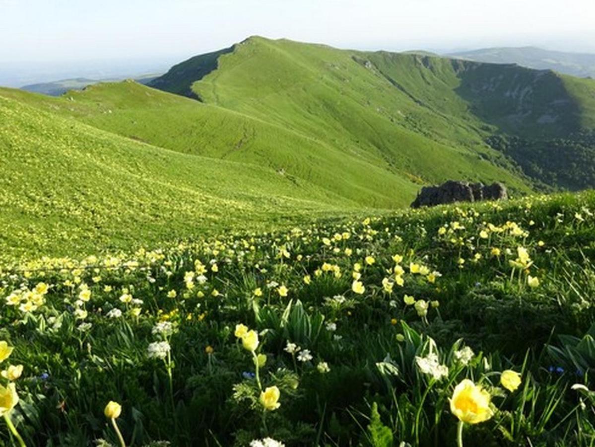 Bienvenue Au Lioran Daire Le Lioran Dış mekan fotoğraf