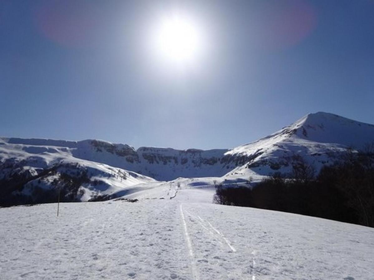 Bienvenue Au Lioran Daire Le Lioran Dış mekan fotoğraf